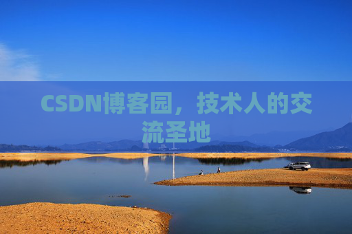 CSDN博客园，技术人的交流圣地